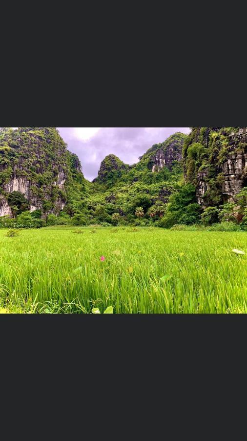 Tam Coc Scenery Homestay Van Lam Εξωτερικό φωτογραφία